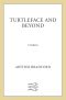 [Turtleface and Beyond 01] • Turtleface and Beyond